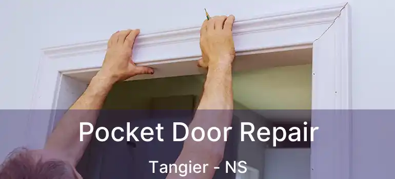  Pocket Door Repair Tangier - NS