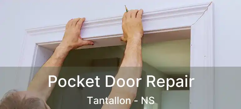  Pocket Door Repair Tantallon - NS