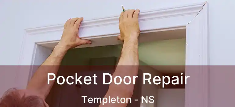  Pocket Door Repair Templeton - NS