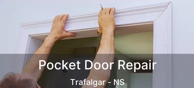  Pocket Door Repair Trafalgar - NS