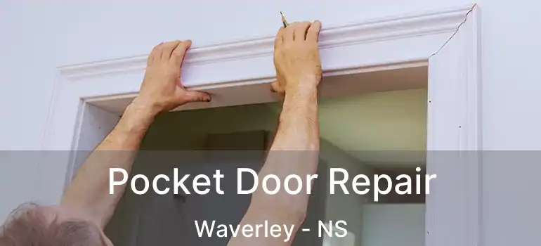  Pocket Door Repair Waverley - NS