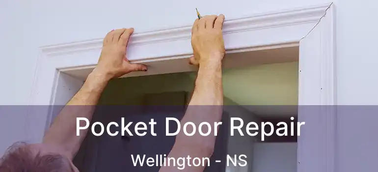  Pocket Door Repair Wellington - NS