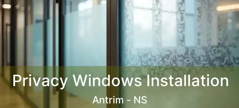  Privacy Windows Installation Antrim - NS