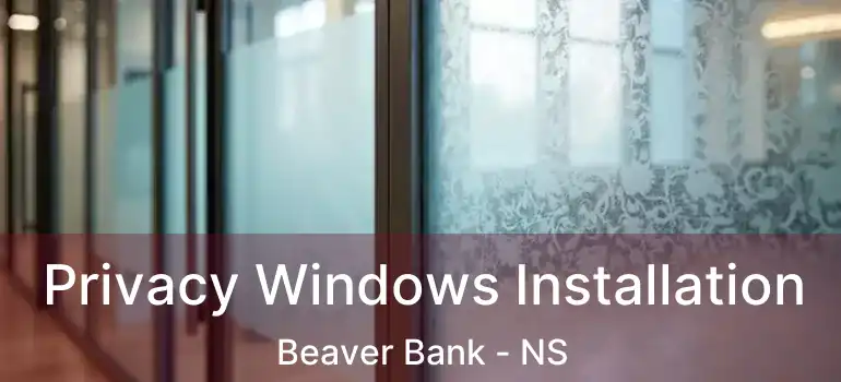  Privacy Windows Installation Beaver Bank - NS