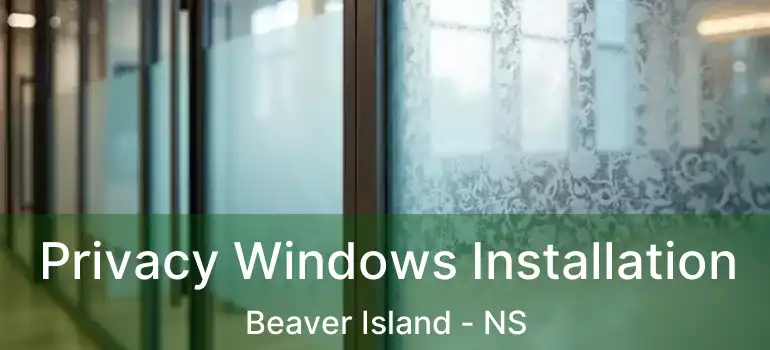  Privacy Windows Installation Beaver Island - NS