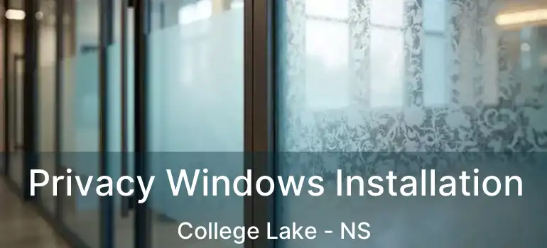  Privacy Windows Installation College Lake - NS