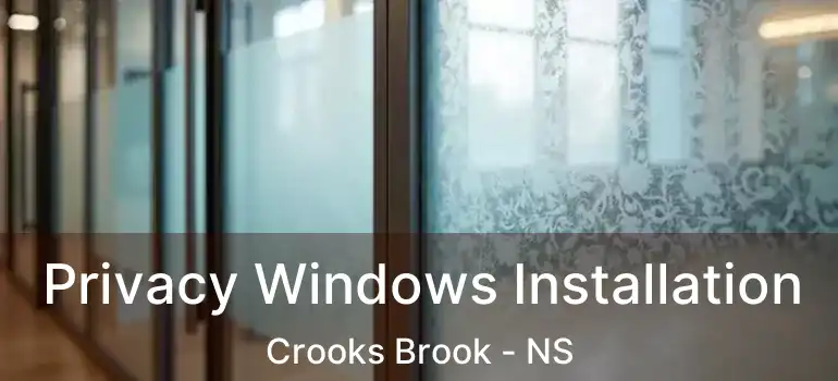  Privacy Windows Installation Crooks Brook - NS