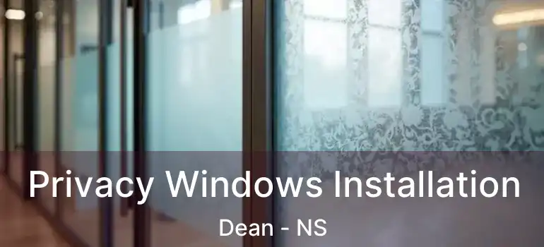  Privacy Windows Installation Dean - NS