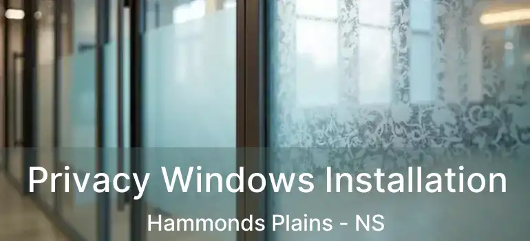  Privacy Windows Installation Hammonds Plains - NS