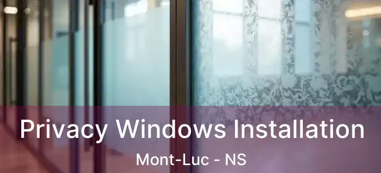  Privacy Windows Installation Mont-Luc - NS