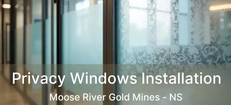  Privacy Windows Installation Moose River Gold Mines - NS