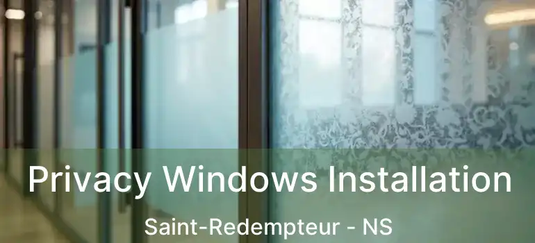  Privacy Windows Installation Saint-Redempteur - NS