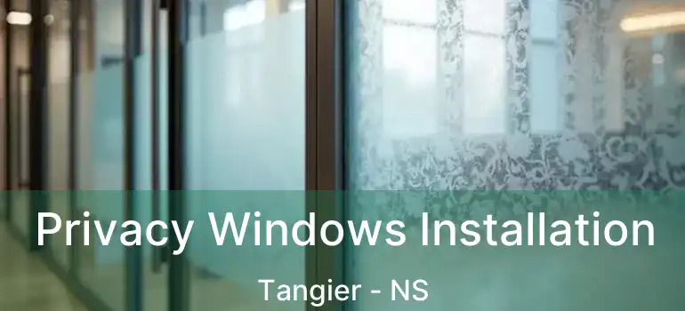  Privacy Windows Installation Tangier - NS