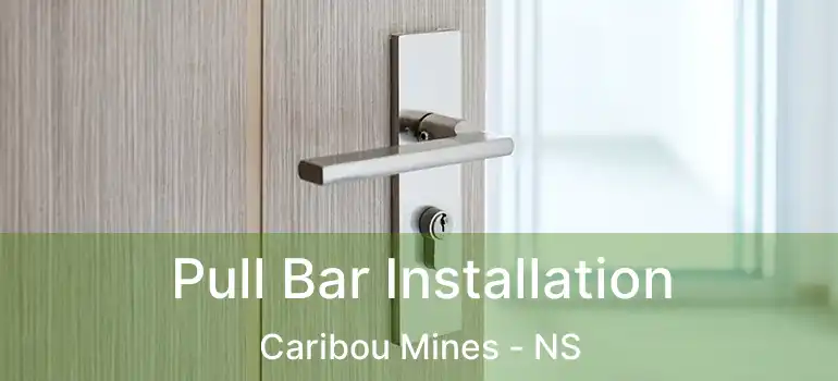  Pull Bar Installation Caribou Mines - NS