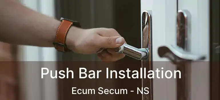  Push Bar Installation Ecum Secum - NS