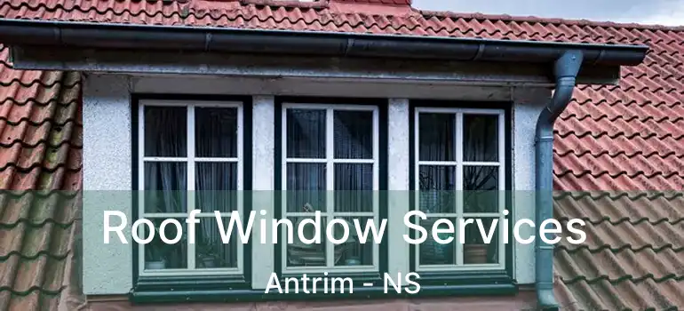  Roof Window Services Antrim - NS