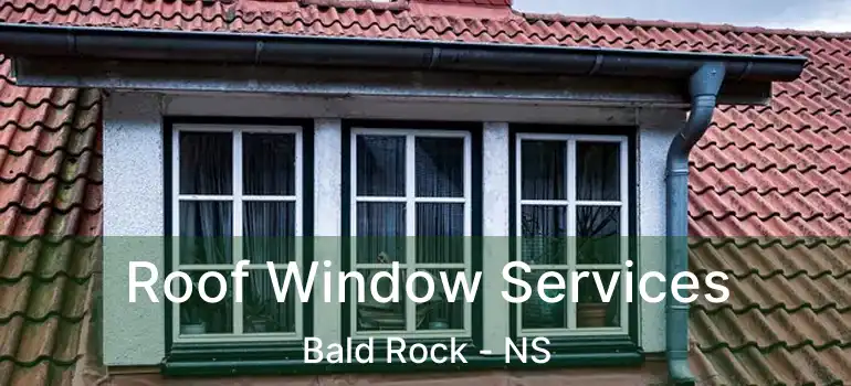  Roof Window Services Bald Rock - NS