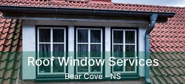  Roof Window Services Bear Cove - NS