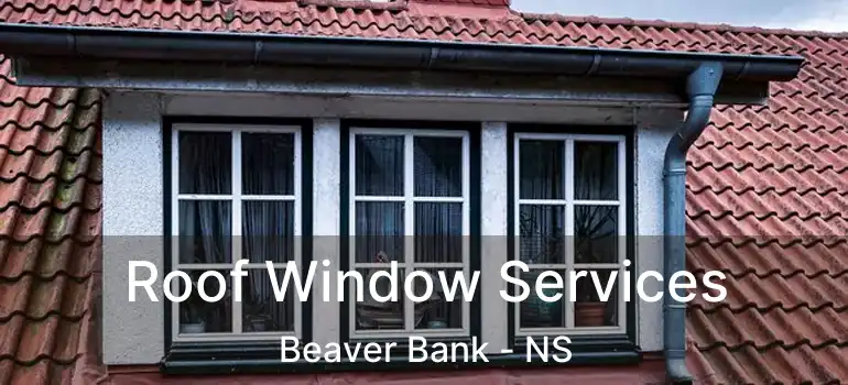  Roof Window Services Beaver Bank - NS