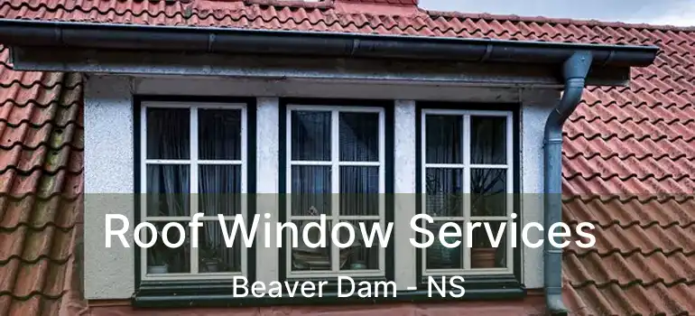  Roof Window Services Beaver Dam - NS