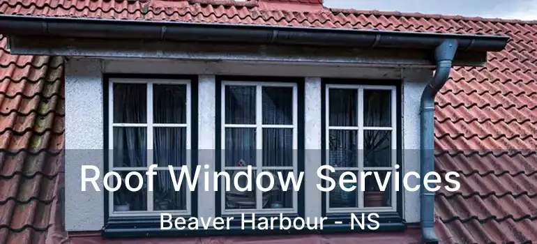  Roof Window Services Beaver Harbour - NS