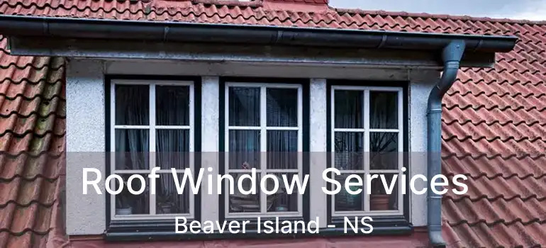  Roof Window Services Beaver Island - NS