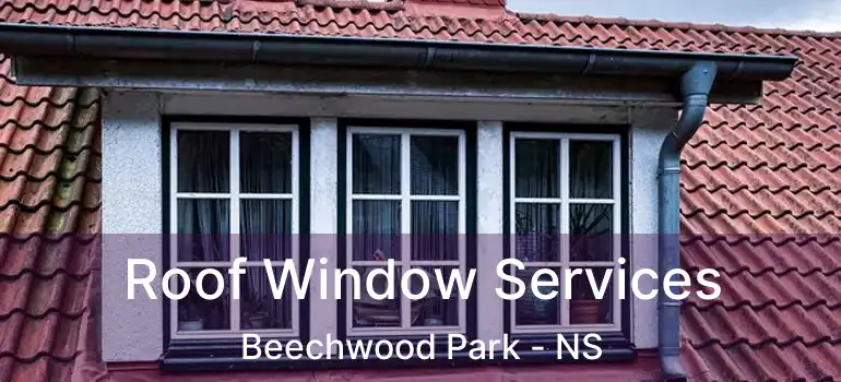  Roof Window Services Beechwood Park - NS