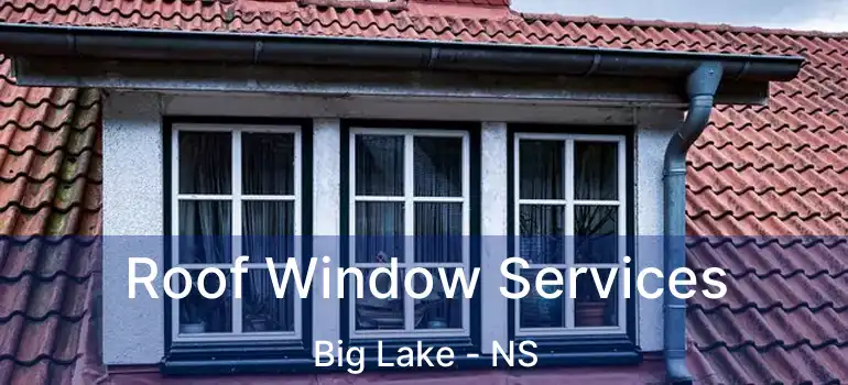  Roof Window Services Big Lake - NS