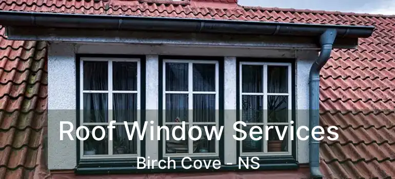  Roof Window Services Birch Cove - NS