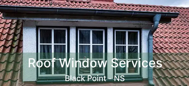  Roof Window Services Black Point - NS