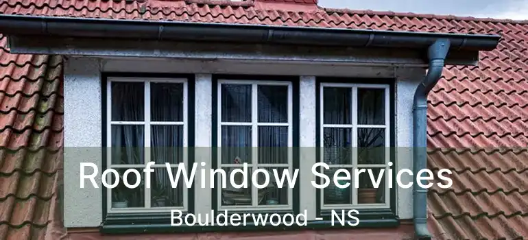  Roof Window Services Boulderwood - NS