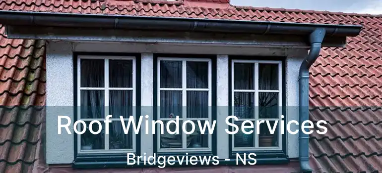  Roof Window Services Bridgeviews - NS