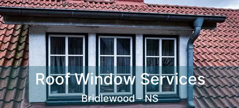  Roof Window Services Bridlewood - NS