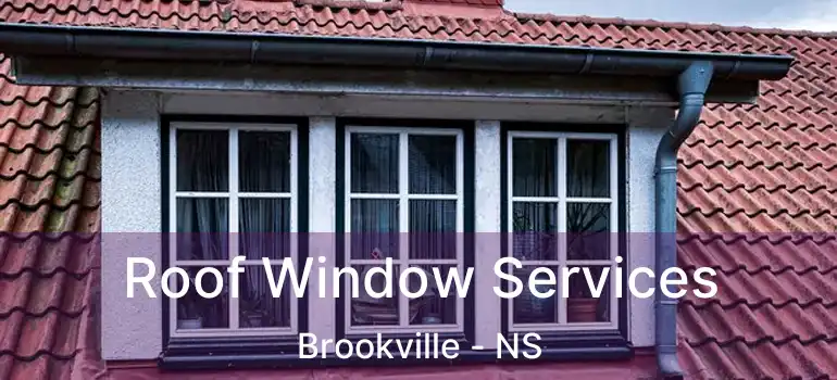  Roof Window Services Brookville - NS