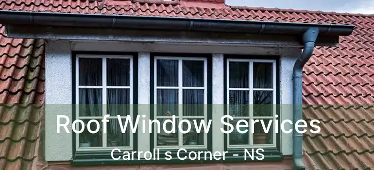  Roof Window Services Carroll s Corner - NS