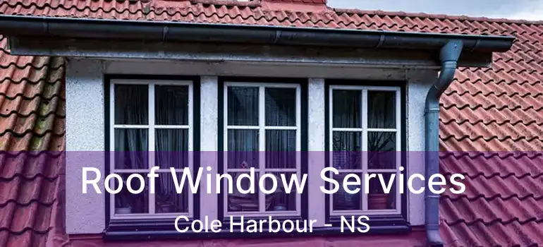  Roof Window Services Cole Harbour - NS