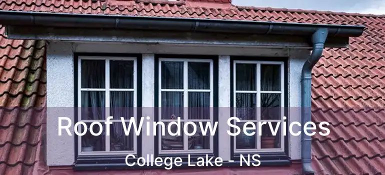  Roof Window Services College Lake - NS