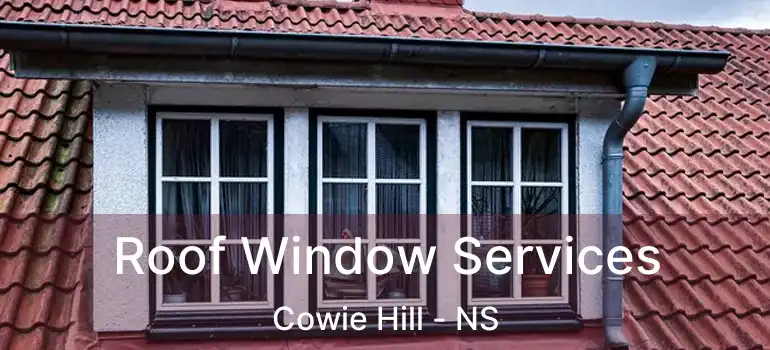  Roof Window Services Cowie Hill - NS