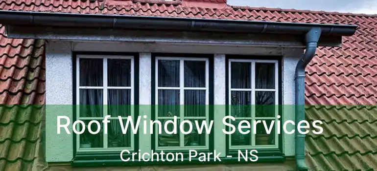  Roof Window Services Crichton Park - NS