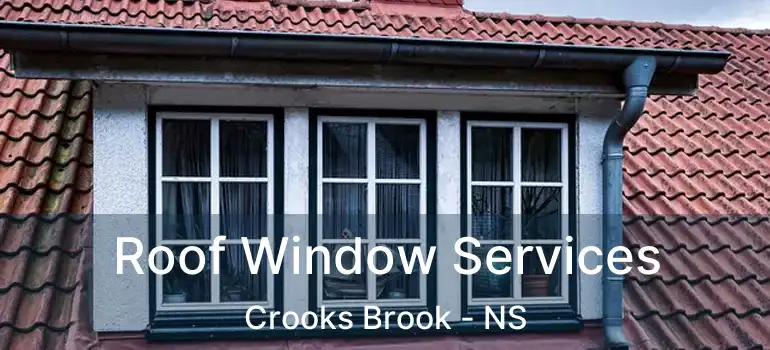  Roof Window Services Crooks Brook - NS