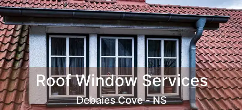  Roof Window Services Debaies Cove - NS