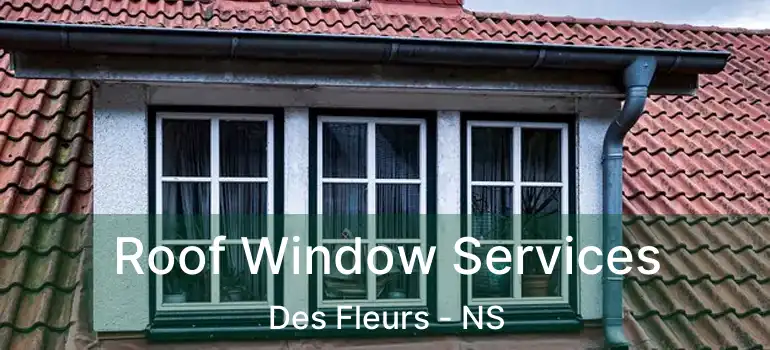  Roof Window Services Des Fleurs - NS