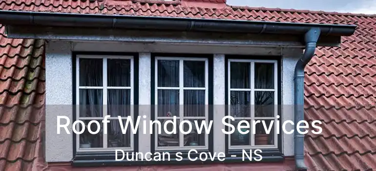  Roof Window Services Duncan s Cove - NS