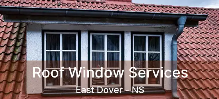  Roof Window Services East Dover - NS