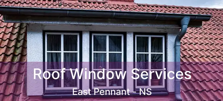  Roof Window Services East Pennant - NS