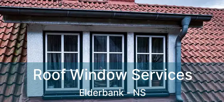  Roof Window Services Elderbank - NS