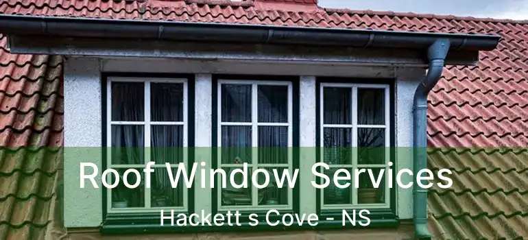  Roof Window Services Hackett s Cove - NS