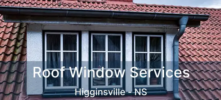  Roof Window Services Higginsville - NS