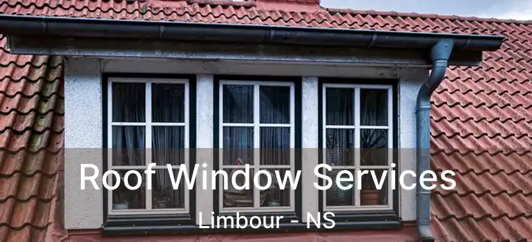  Roof Window Services Limbour - NS