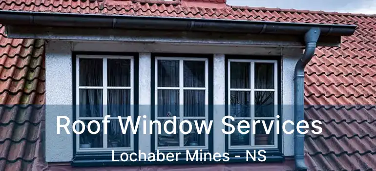  Roof Window Services Lochaber Mines - NS